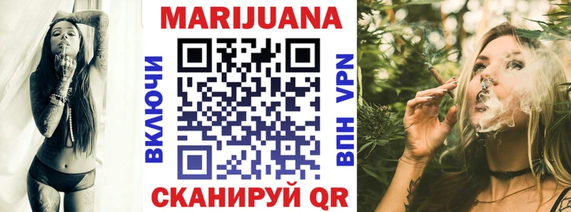 сколько стоит  гидра   Конопля сатива  Куровское 